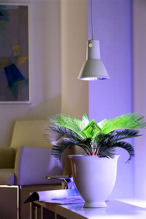 Im looking to start growing plants indoors over the winter here in mn. Biogreen LUM151/GB 15W Energy Saving Plantlight L15 ...