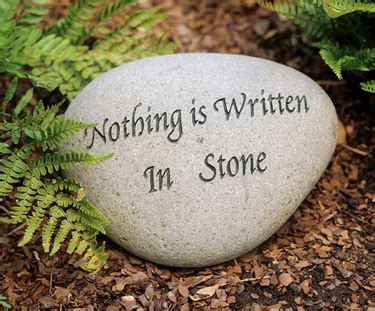 Dictionary of similar words, different wording, synonyms, idioms for synonym of set in stone. Re-using Sonlight and Doing it Differently | Practical Pages