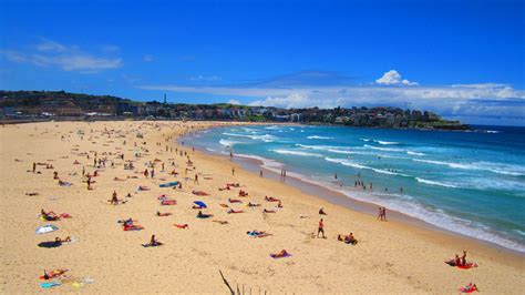 Blazing the Coastal Trail from Bondi to Coogee Beach | Native Foreigner