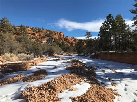 10 Best Hikes And Trails In Dixie National Forest Alltrails