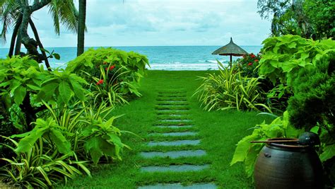 Beautiful Nature Path 4k Wallpaper - Nature Beautiful Hd Wallpapers 4k