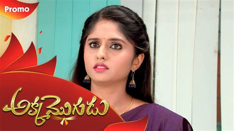 Akka Mogudu Preview 18th November 19 Gemini Tv Serial Telugu