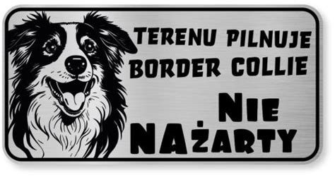 Tabliczka ostrzegawcza Uwaga pies Border Collie śmieszna Partygrafia