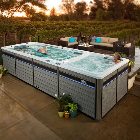 E2000 Endless Pools® Fitness Systems Lbi Hot Spring Spas