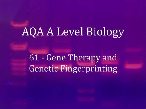 AQA A Level Biology Lecture 61 Gene Therapy And Genetic