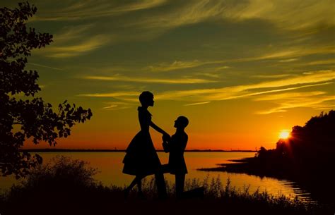 Free Images Silhouette Lovers Couple Flower Proposal Engagement