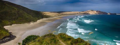 Best Beaches In New Zealand Free Fun Guides