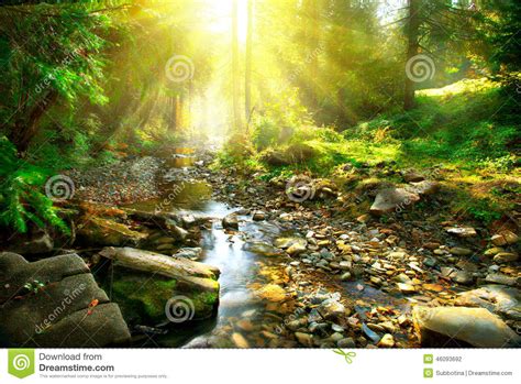 Mountain River In The Middle Of Green Forest Stock Photo Image 46093692