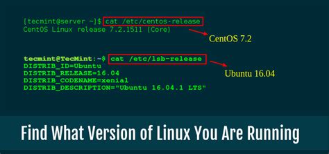 If i have a mongo instance running, how can i check what port numbers it is listening on from the shell? How to Find Out What Version of Linux You Are Running