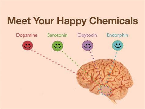 know your happiness hormones learn natural ways to boost them