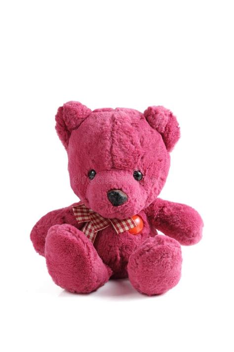 Pink Bear Doll On White Background Stock Image Image Of Stuffed Bear 171100585