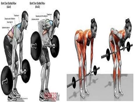 How To Barbell Row And Benefits Your Guide To The Proper Form ~