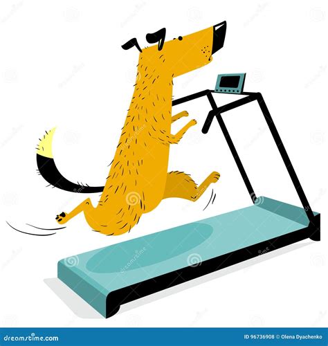 Fast Running Dog On Treadmill Cute Racing Pet Stock Vector
