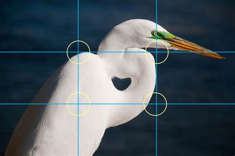 Photo Composition The Rule Of Thirds Light And Matter