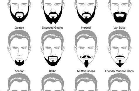 Beard Trimming And Types Of Beards Trimmed At Hmx