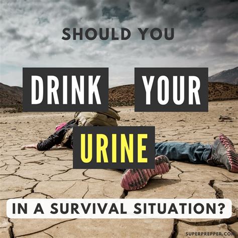 drinking urine in survival situations is it safe super prepper