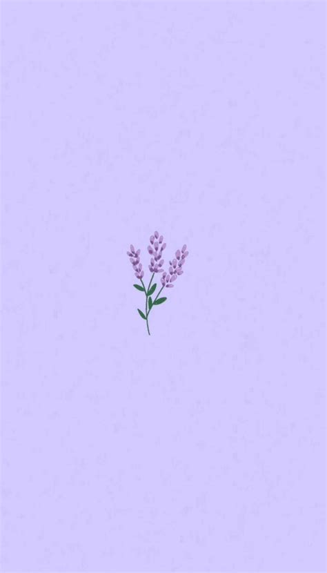 Free Download Download Light Purple Aesthetic Lavender Flower Wallpaper