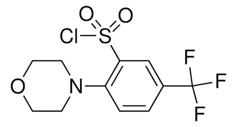 Morpholino Trifluoromethyl Benzenesulfonyl Chloride Aldrichcpr