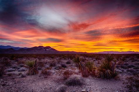 Desert Sunset Nevada California Mobilus In Mobili Flickr