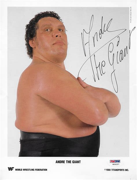 Andre the giant was born andre rene roussimoff in the countryside of grenoble, france. Lot Detail - Andre The Giant Ultra Rare Signed WWF 8" x 10 ...