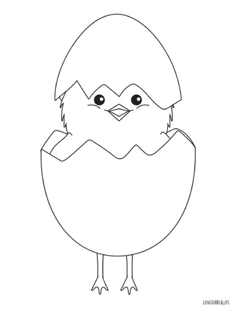 Coloring Pages Baby Chicks