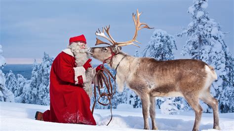 Christmas Reindeer Wallpapers High Quality Download Free