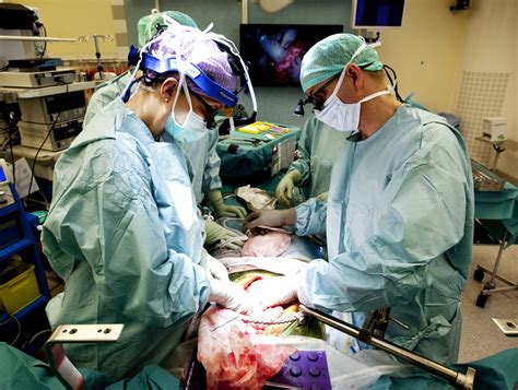 In Groundbreaking Procedure Doctors Transplant Wombs Into Nine Women The Verge