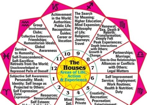 Understanding The Importance Of The Astrological Houses
