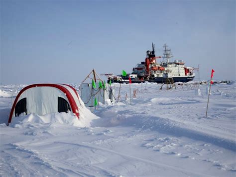 Pandemic Forces Arctic Expedition To Take Break Inquirer Technology