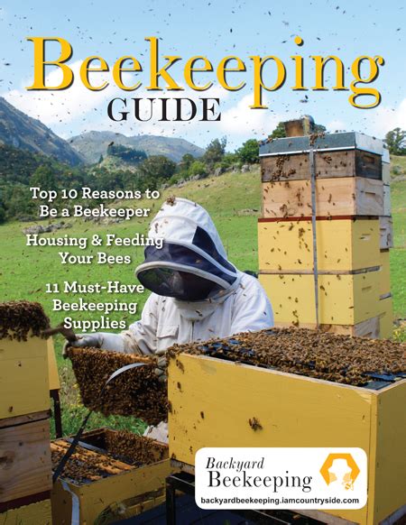 How to raise backyard hon. Raise Bees in Your Backyard - Backyard Beekeeping