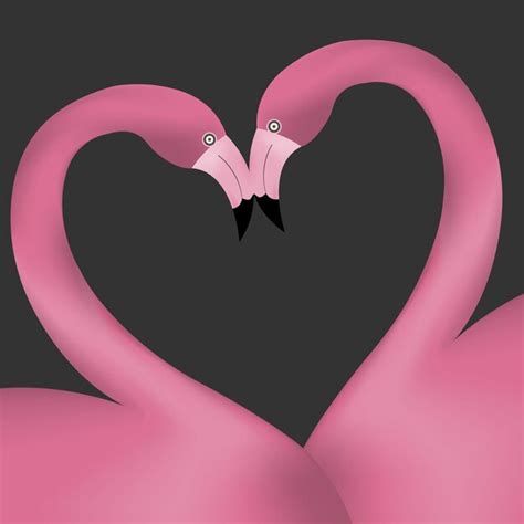 Premium Vector Two Pink Flamingos In Love Forming A Heart Vector