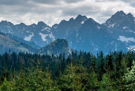 Green Mountain Tatra Mountains Poland Mountains Hd Wallpaper