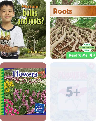 All About Plants Childrens Book Collection Discover Epic Childrens