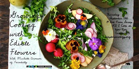 Growing And Cooking With Edible Flowers Explore Ecology