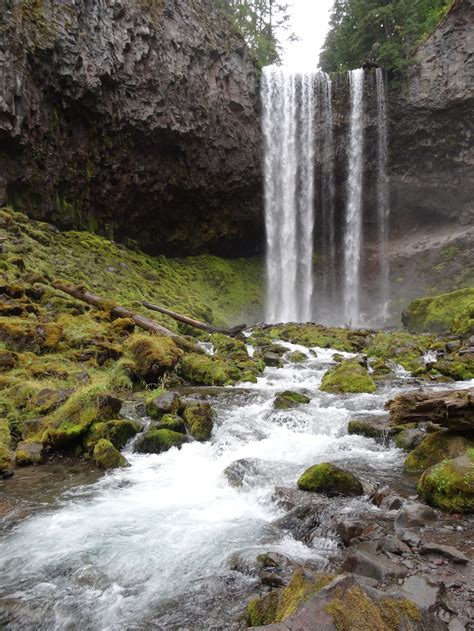 We did not find results for: Discovering Oregon's own Tamanawas Falls - The Pioneer Log