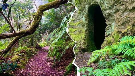 El Bosque Encantado Un Sendero De Cuento Youtube