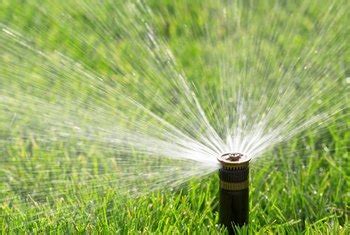 Do so in the morning a few hours before or. The Best Time to Water Grass on a Hot Day | Home Guides ...