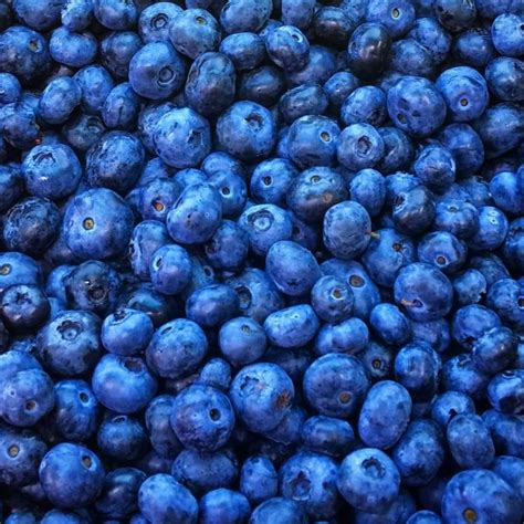 Free Images Fruit Berry Food Produce Blueberry Blackberry