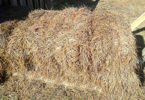 Mulch Delivery Southport Nc Long Leaf Pine Straw
