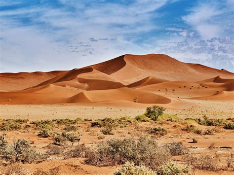 Desert Vacances Arts Guides Voyages