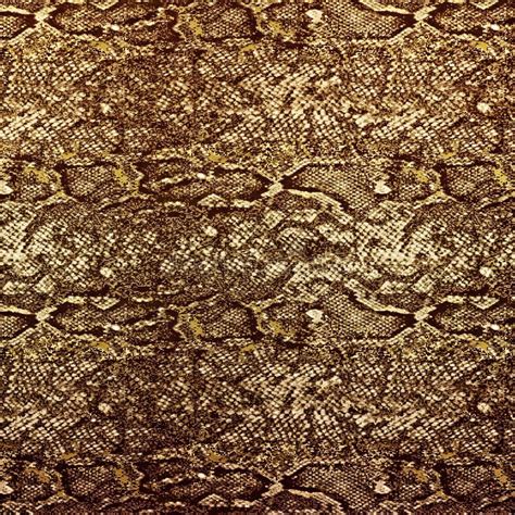 Snake Skin Pattern Stock Photo Image Of Patterned Design 17745690