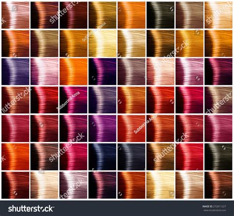 Hair Colors Palette Hair Colours Set Stock Photo 272811227
