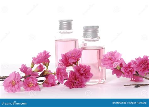 Spa Still Life Stock Image Image Of Care Health Accessories