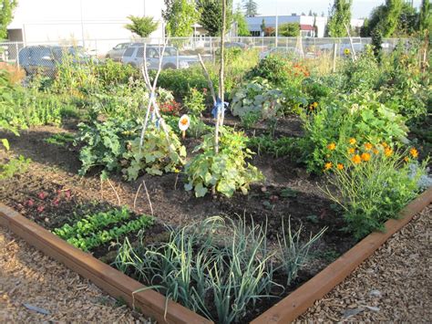 Before you plant be sure to take a little time and prepare your garden plot, remove the weeds, level the site, and amend the soil if necessary. Steph's Cup of Tea: How the OR Garden Grows...
