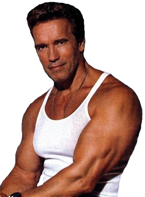 Download Arnold Schwarzenegger Arnold Schwarzenegger Body 1991 Png