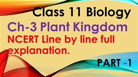Class 11 Biology Ch 3 Plant Kingdom Ncert Line By Line Explanation By