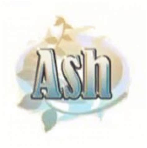 Ash Review 3ds Eshop Nintendo Life
