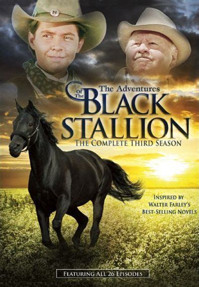 The Adventures Of The Black Stallion Tv Series Black Stallion Horse