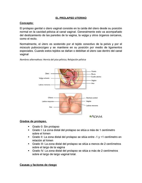 EL Prolapso Uterino Cuidados En El Adulto Mayor EL PROLAPSO UTERINO