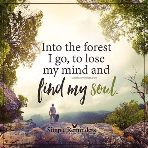 Pin By Sue Fowler On Quotes Peace And Stillness Nature Quotes Forest